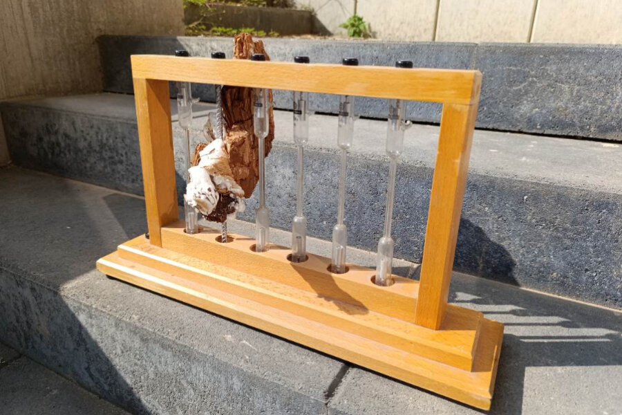 Michal Machciník, Pocta ďatľovi, Dutina v ktorej sa utvára čas model postkladickej vedy E., odliatok dutiny vytvorenej ďatľom v subfosilnom dreve, autorská technika, pur pena, drevo, kov, 2024